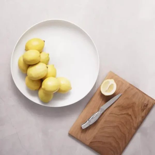 dinner_plate_set_of_4_-_swirl DINNER PLATE \ Swirl